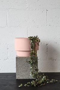 CENTURY POT | Blush