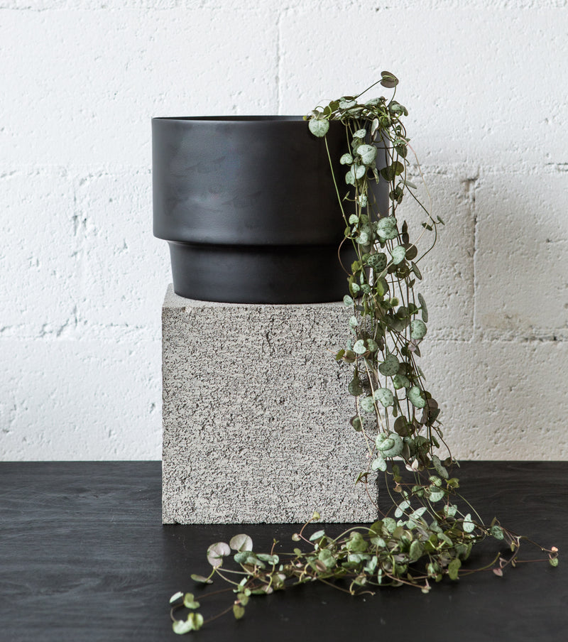 Black pots on table